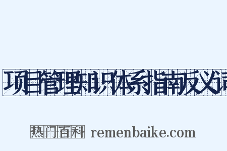 项目管理知识体系指南反义词是什么意思的图片